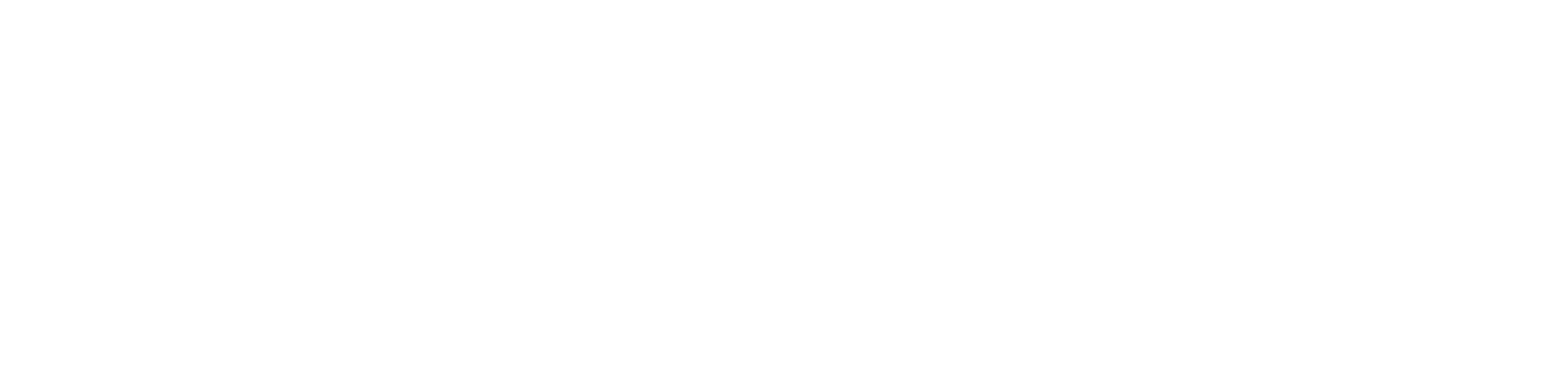 The North Face 100